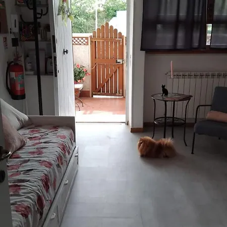 Διαμέρισμα Mis Flores, Privata Santa Marinella